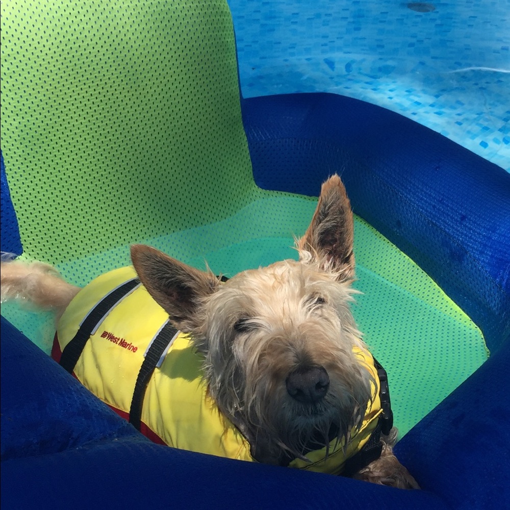 Summer fun ❤️